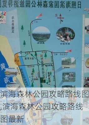 滨海森林公园攻略路线图,滨海森林公园攻略路线图最新