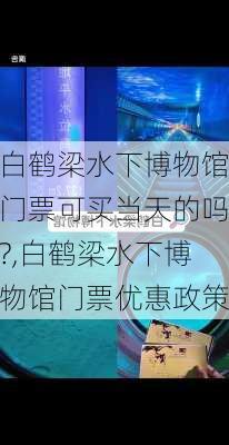 白鹤梁水下博物馆门票可买当天的吗?,白鹤梁水下博物馆门票优惠政策