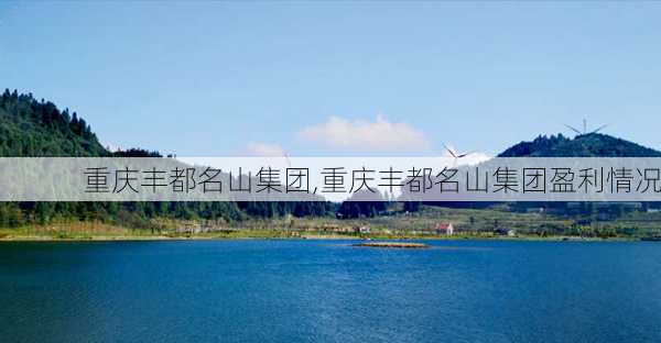 重庆丰都名山集团,重庆丰都名山集团盈利情况