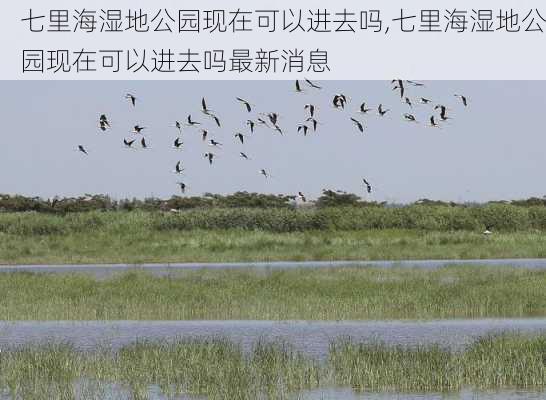 七里海湿地公园现在可以进去吗,七里海湿地公园现在可以进去吗最新消息