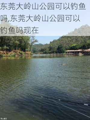 东莞大岭山公园可以钓鱼吗,东莞大岭山公园可以钓鱼吗现在