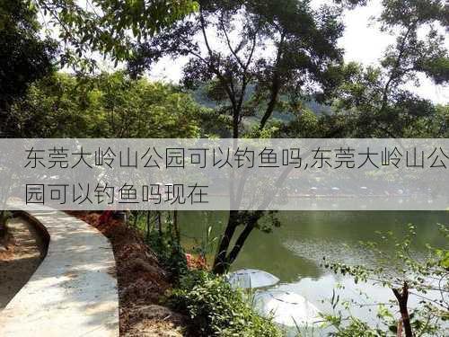 东莞大岭山公园可以钓鱼吗,东莞大岭山公园可以钓鱼吗现在