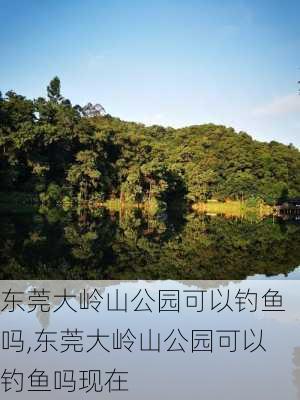 东莞大岭山公园可以钓鱼吗,东莞大岭山公园可以钓鱼吗现在