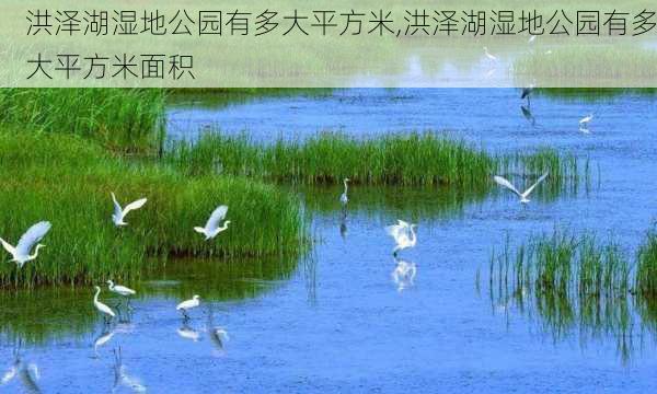 洪泽湖湿地公园有多大平方米,洪泽湖湿地公园有多大平方米面积