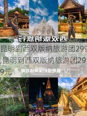 昆明到西双版纳旅游团299,昆明到西双版纳旅游团299元