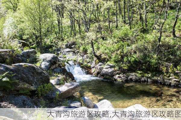 大青沟旅游区攻略,大青沟旅游区攻略图