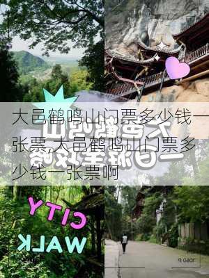 大邑鹤鸣山门票多少钱一张票,大邑鹤鸣山门票多少钱一张票啊