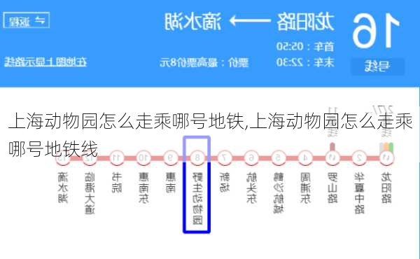 上海动物园怎么走乘哪号地铁,上海动物园怎么走乘哪号地铁线