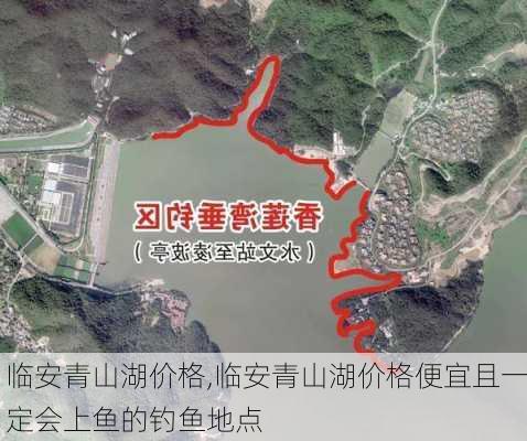 临安青山湖价格,临安青山湖价格便宜且一定会上鱼的钓鱼地点