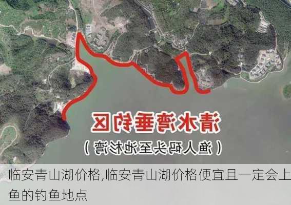 临安青山湖价格,临安青山湖价格便宜且一定会上鱼的钓鱼地点