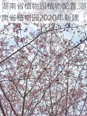 湖南省植物园植物配置,湖南省植物园2020年新建