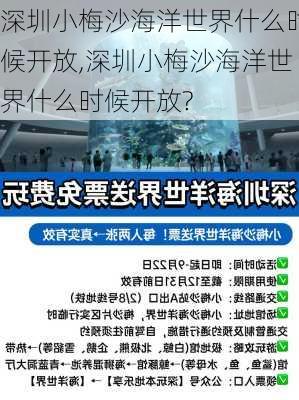 深圳小梅沙海洋世界什么时候开放,深圳小梅沙海洋世界什么时候开放?