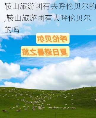 鞍山旅游团有去呼伦贝尔的,鞍山旅游团有去呼伦贝尔的吗