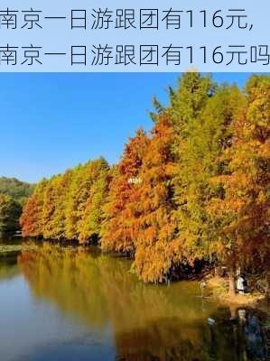 南京一日游跟团有116元,南京一日游跟团有116元吗