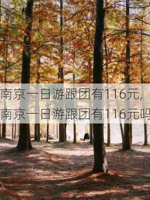 南京一日游跟团有116元,南京一日游跟团有116元吗