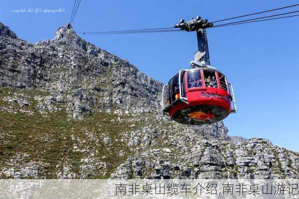 南非桌山缆车介绍,南非桌山游记