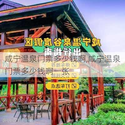 咸宁温泉门票多少钱啊,咸宁温泉门票多少钱啊一张