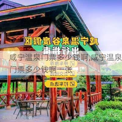 咸宁温泉门票多少钱啊,咸宁温泉门票多少钱啊一张