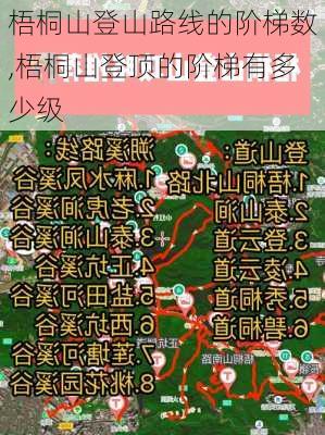 梧桐山登山路线的阶梯数,梧桐山登顶的阶梯有多少级