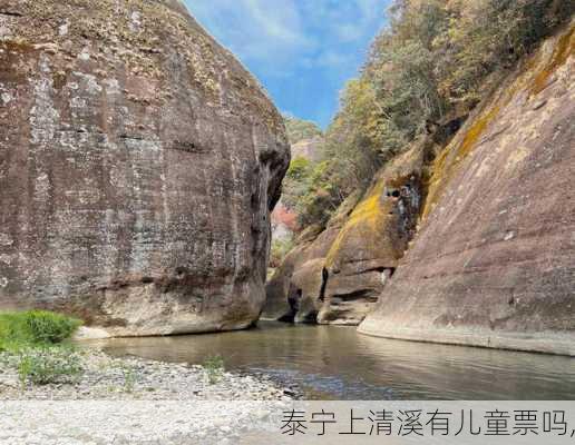 泰宁上清溪有儿童票吗,