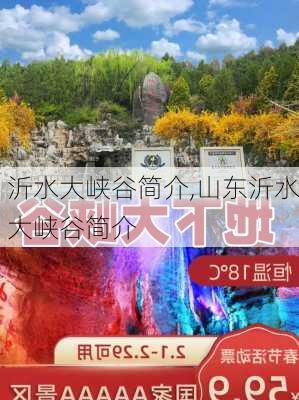 沂水大峡谷简介,山东沂水大峡谷简介