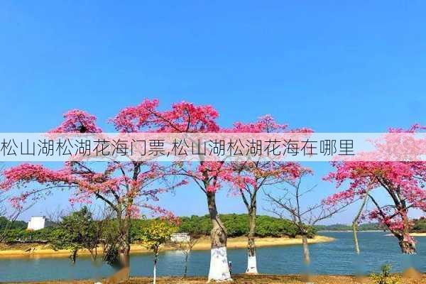 松山湖松湖花海门票,松山湖松湖花海在哪里