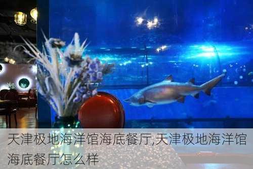 天津极地海洋馆海底餐厅,天津极地海洋馆海底餐厅怎么样