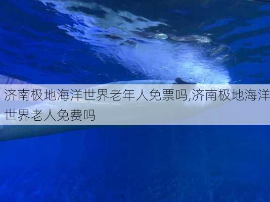 济南极地海洋世界老年人免票吗,济南极地海洋世界老人免费吗