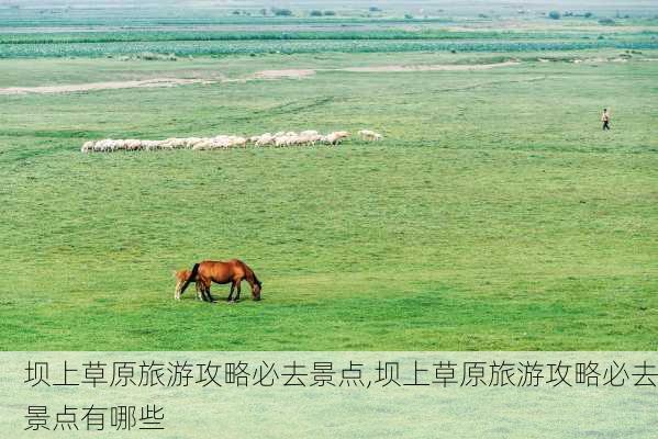 坝上草原旅游攻略必去景点,坝上草原旅游攻略必去景点有哪些