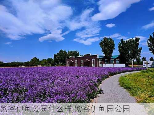 紫谷伊甸公园什么样,紫谷伊甸园公园