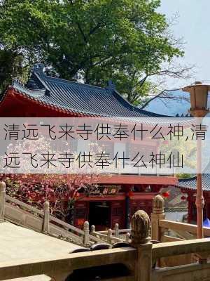 清远飞来寺供奉什么神,清远飞来寺供奉什么神仙