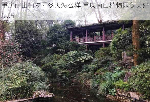 重庆南山植物园冬天怎么样,重庆南山植物园冬天好玩吗