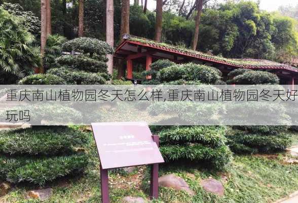 重庆南山植物园冬天怎么样,重庆南山植物园冬天好玩吗