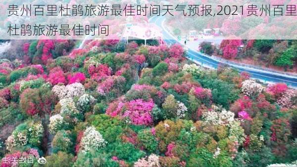 贵州百里杜鹃旅游最佳时间天气预报,2021贵州百里杜鹃旅游最佳时间