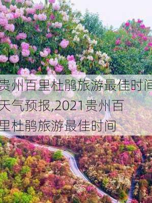 贵州百里杜鹃旅游最佳时间天气预报,2021贵州百里杜鹃旅游最佳时间