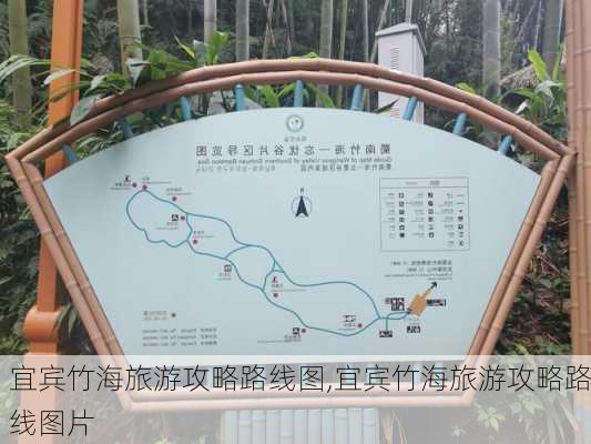 宜宾竹海旅游攻略路线图,宜宾竹海旅游攻略路线图片