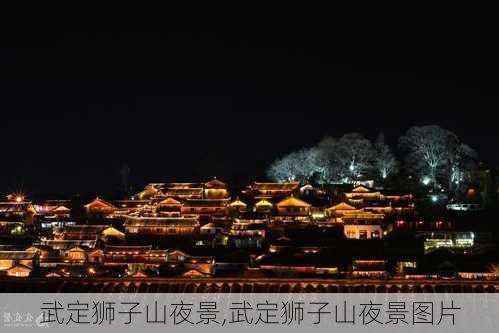 武定狮子山夜景,武定狮子山夜景图片