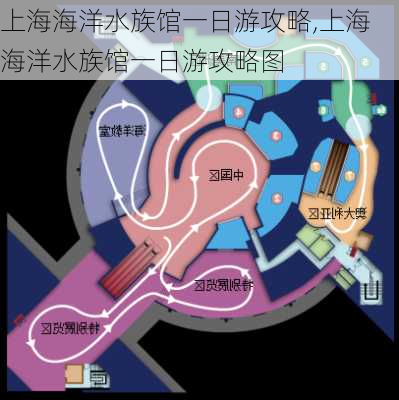 上海海洋水族馆一日游攻略,上海海洋水族馆一日游攻略图