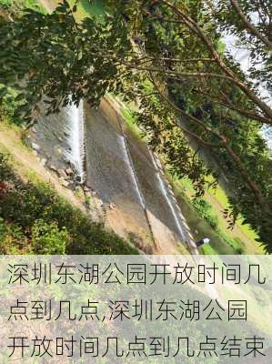 深圳东湖公园开放时间几点到几点,深圳东湖公园开放时间几点到几点结束