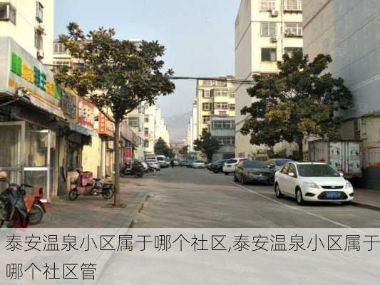 泰安温泉小区属于哪个社区,泰安温泉小区属于哪个社区管