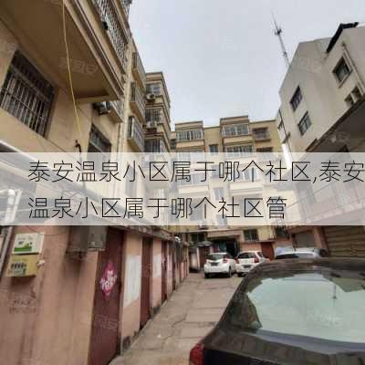 泰安温泉小区属于哪个社区,泰安温泉小区属于哪个社区管