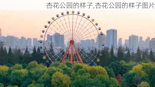 杏花公园的样子,杏花公园的样子图片