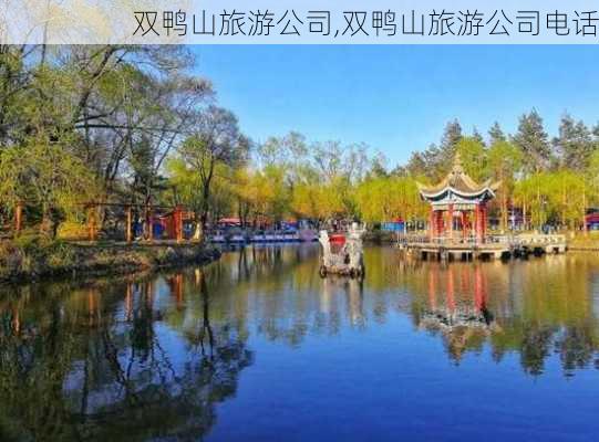 双鸭山旅游公司,双鸭山旅游公司电话