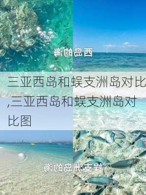 三亚西岛和蜈支洲岛对比,三亚西岛和蜈支洲岛对比图