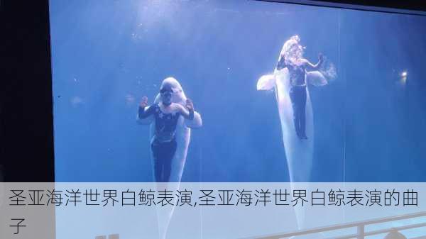 圣亚海洋世界白鲸表演,圣亚海洋世界白鲸表演的曲子