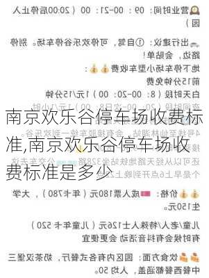 南京欢乐谷停车场收费标准,南京欢乐谷停车场收费标准是多少