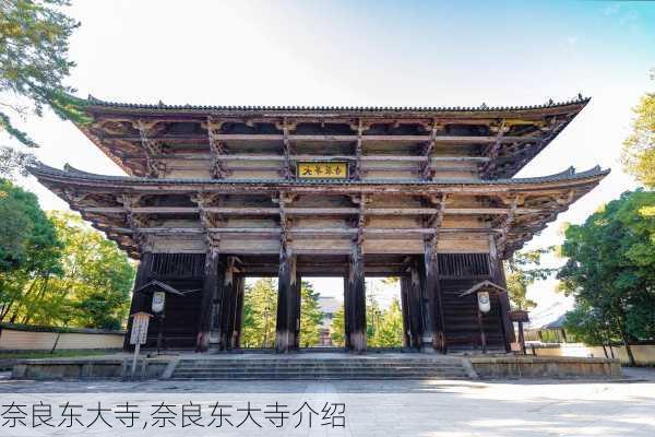 奈良东大寺,奈良东大寺介绍