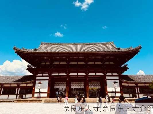 奈良东大寺,奈良东大寺介绍