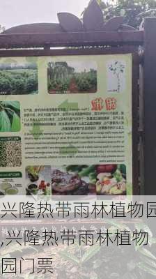 兴隆热带雨林植物园,兴隆热带雨林植物园门票