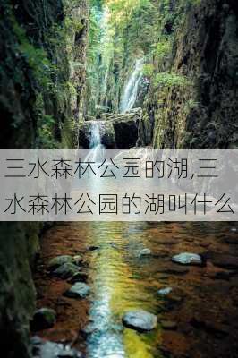 三水森林公园的湖,三水森林公园的湖叫什么